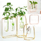 Affordable Luxury Nordic Style Glass Iron Suspended Vases