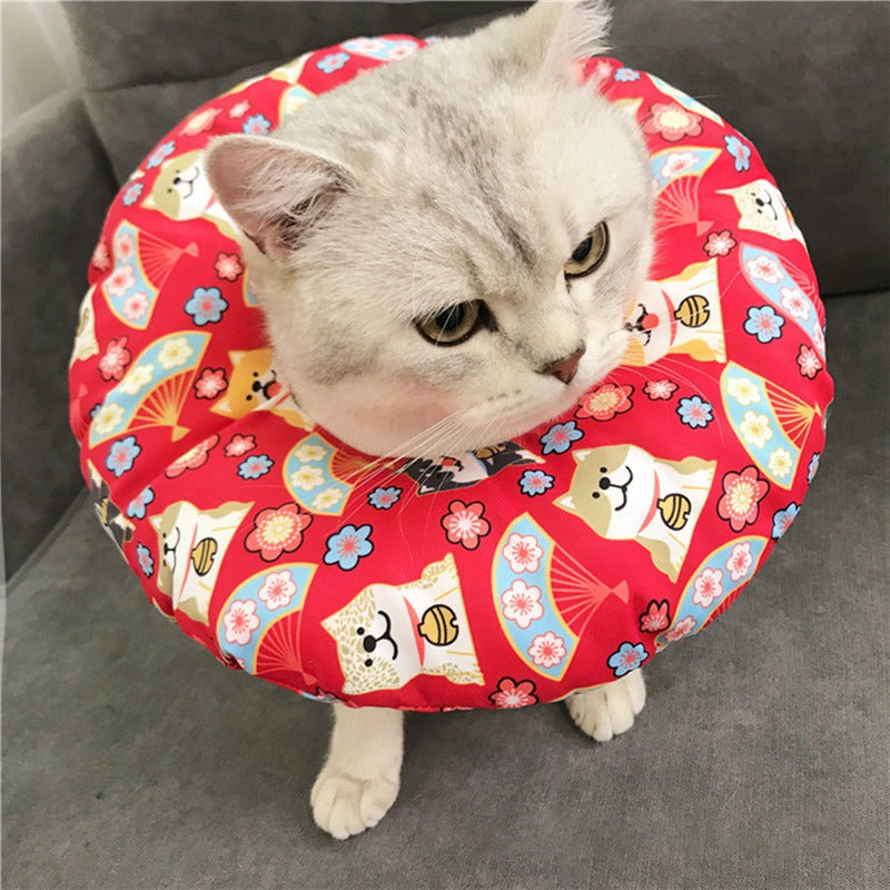 Cat Adjustable Recovery Cone Collar