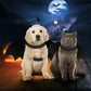 Halloween Pet Bat Wings Costume (Cat and Dogs)